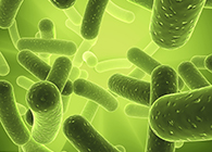 yl23455永利将加入2013年欧洲生物春季展会