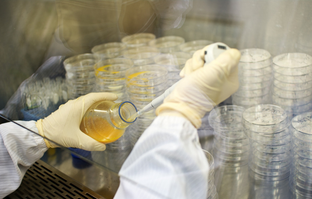 yl23455永利(集团)股份有限公司官网