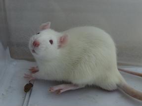 yl23455永利(集团)股份有限公司官网