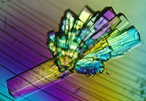 yl23455永利副总裁金晓玮博士等一行出席了在上海举行的中国科学手艺大学校友会沙龙