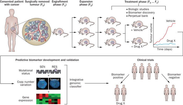 yl23455永利(集团)股份有限公司官网