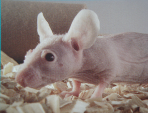 yl23455永利(集团)股份有限公司官网