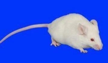 yl23455永利(集团)股份有限公司官网