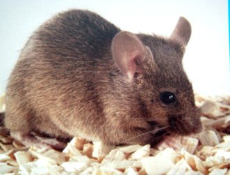 yl23455永利(集团)股份有限公司官网