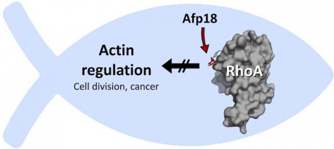 yl23455永利(集团)股份有限公司官网