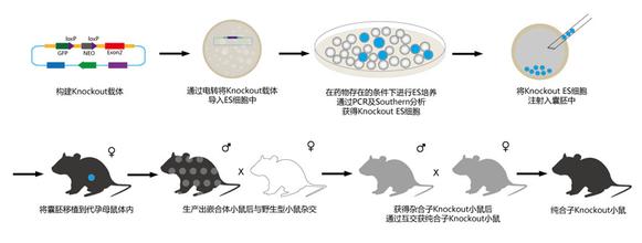 yl23455永利(集团)股份有限公司官网