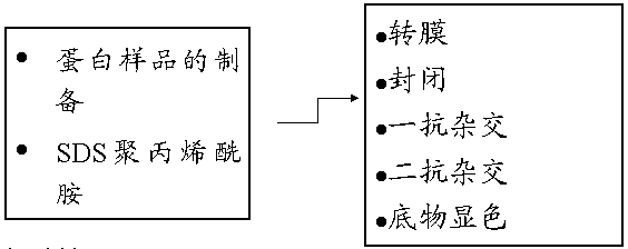 yl23455永利(集团)股份有限公司官网