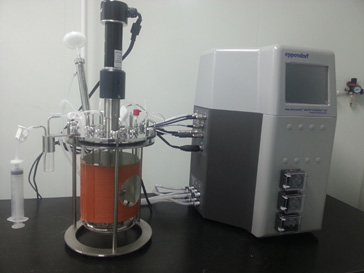 yl23455永利的生物药（抗体）实验室即将投入使用