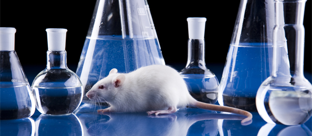 yl23455永利(集团)股份有限公司官网