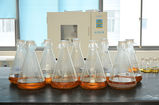 yl23455永利制剂中心GMP中试车间完工