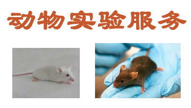 yl23455永利动物实验外包效劳