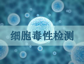 yl23455永利细胞毒性实验效劳