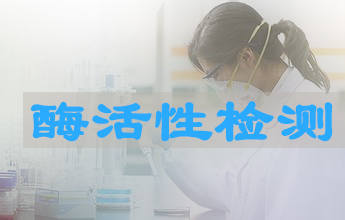 yl23455永利酶活性测定效劳