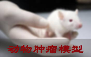yl23455永利肿瘤模子建设效劳