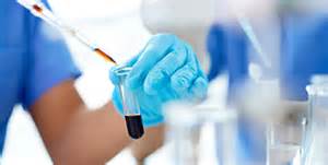 yl23455永利(集团)股份有限公司官网