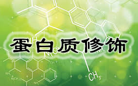 yl23455永利(集团)股份有限公司官网