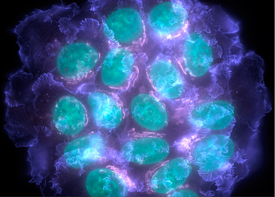 yl23455永利(集团)股份有限公司官网