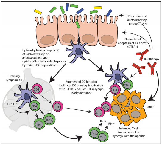 yl23455永利(集团)股份有限公司官网