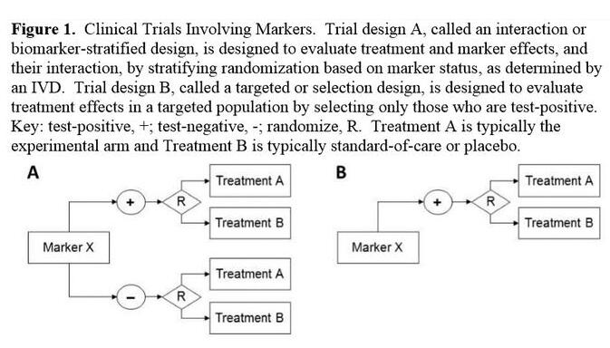 yl23455永利(集团)股份有限公司官网