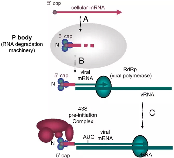 yl23455永利(集团)股份有限公司官网