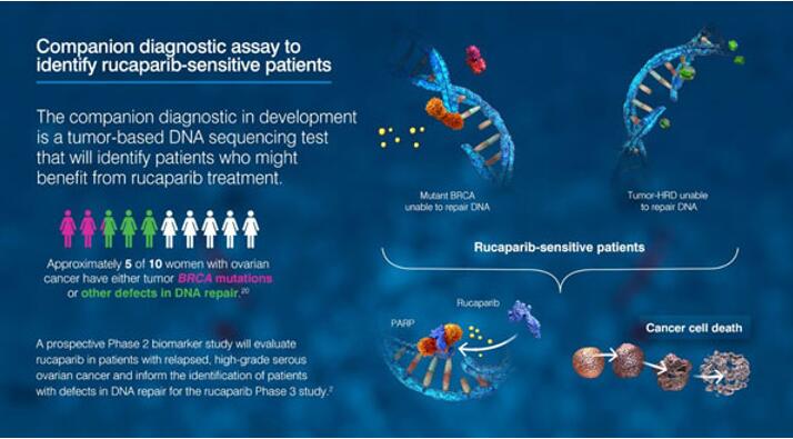 yl23455永利(集团)股份有限公司官网
