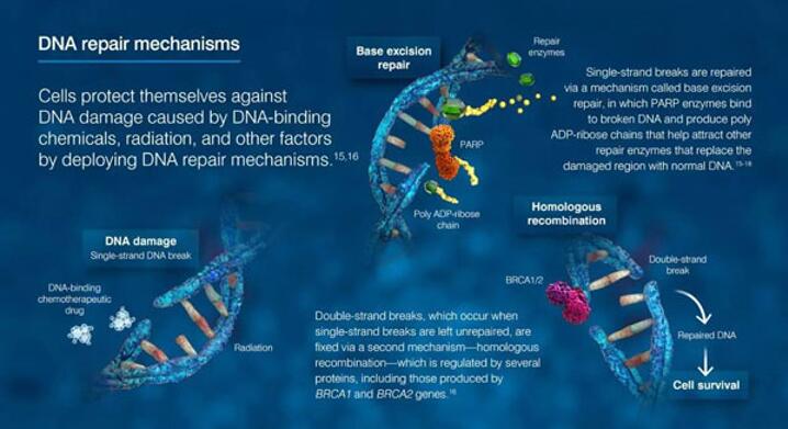 yl23455永利(集团)股份有限公司官网