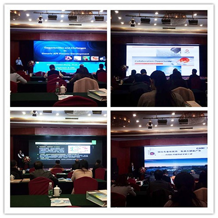 参会嘉宾在2016中国医药工业相助与生长论坛上揭晓主题演讲