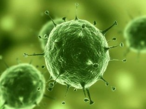 Nature：治疗实体瘤有了明确靶标，，，，，，肿瘤干细胞确实保存