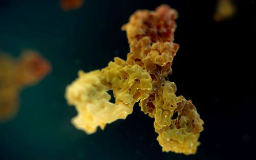 yl23455永利(集团)股份有限公司官网