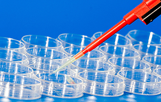 yl23455永利(集团)股份有限公司官网