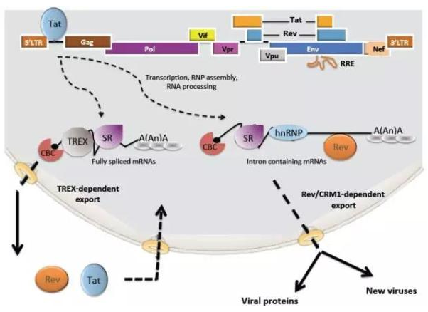 yl23455永利(集团)股份有限公司官网