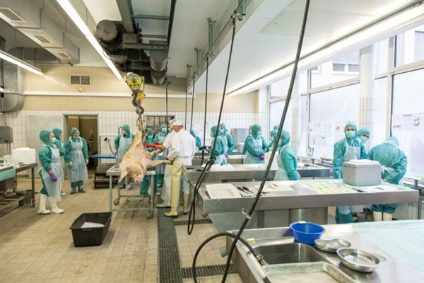 专利悬崖到来，，，，，，骨质松散症药物新药研发战况怎样？？？？