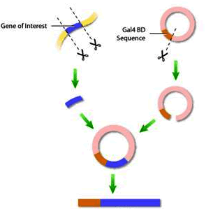 yl23455永利(集团)股份有限公司官网