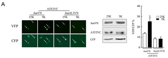 yl23455永利(集团)股份有限公司官网