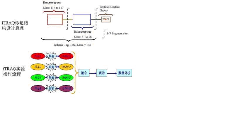 yl23455永利(集团)股份有限公司官网