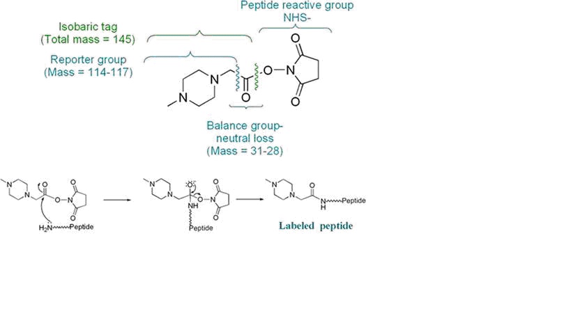 yl23455永利(集团)股份有限公司官网
