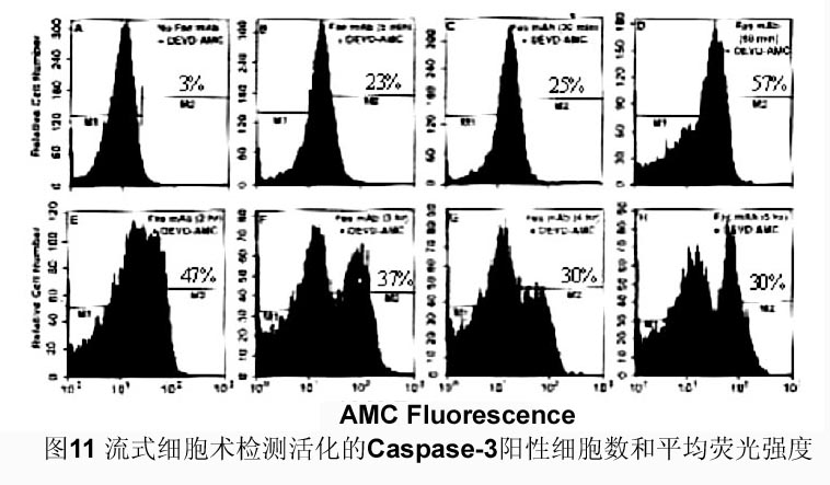 yl23455永利(集团)股份有限公司官网