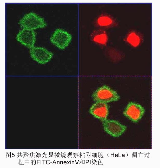 yl23455永利(集团)股份有限公司官网