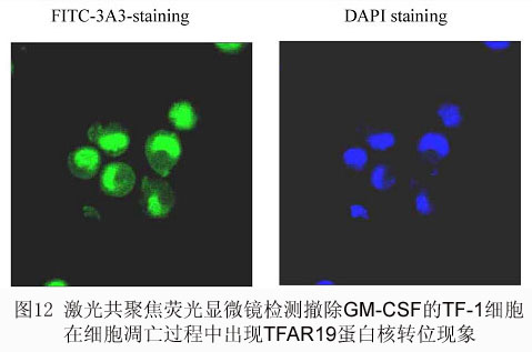 yl23455永利(集团)股份有限公司官网
