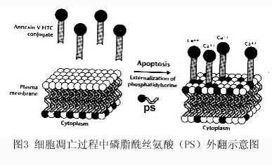 yl23455永利(集团)股份有限公司官网