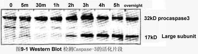 yl23455永利(集团)股份有限公司官网