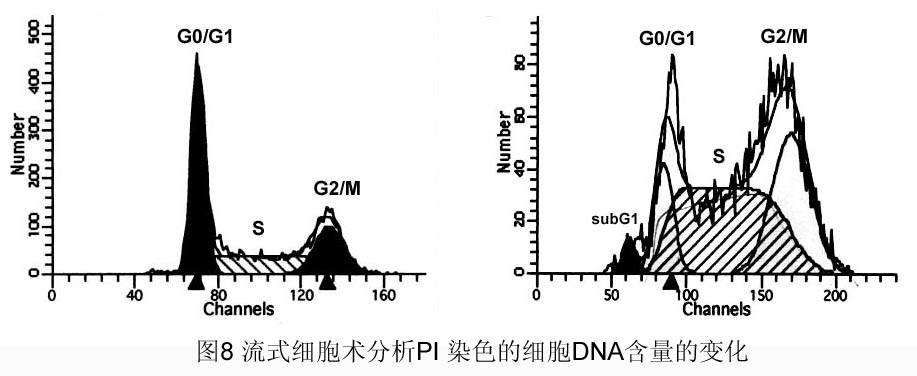yl23455永利(集团)股份有限公司官网