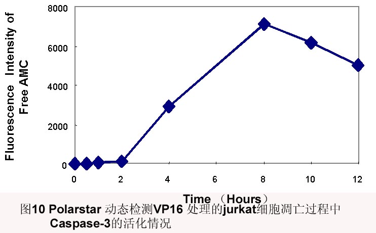 yl23455永利(集团)股份有限公司官网