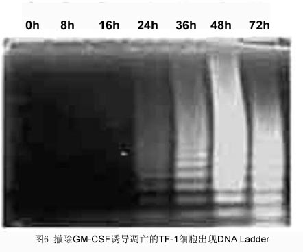 yl23455永利(集团)股份有限公司官网