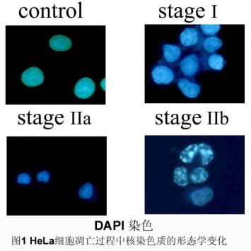 yl23455永利(集团)股份有限公司官网