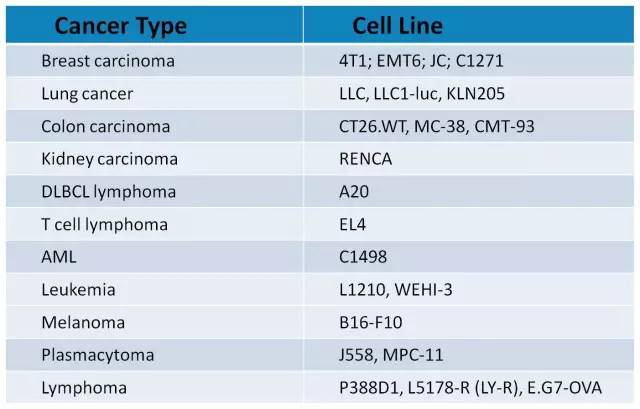 yl23455永利(集团)股份有限公司官网
