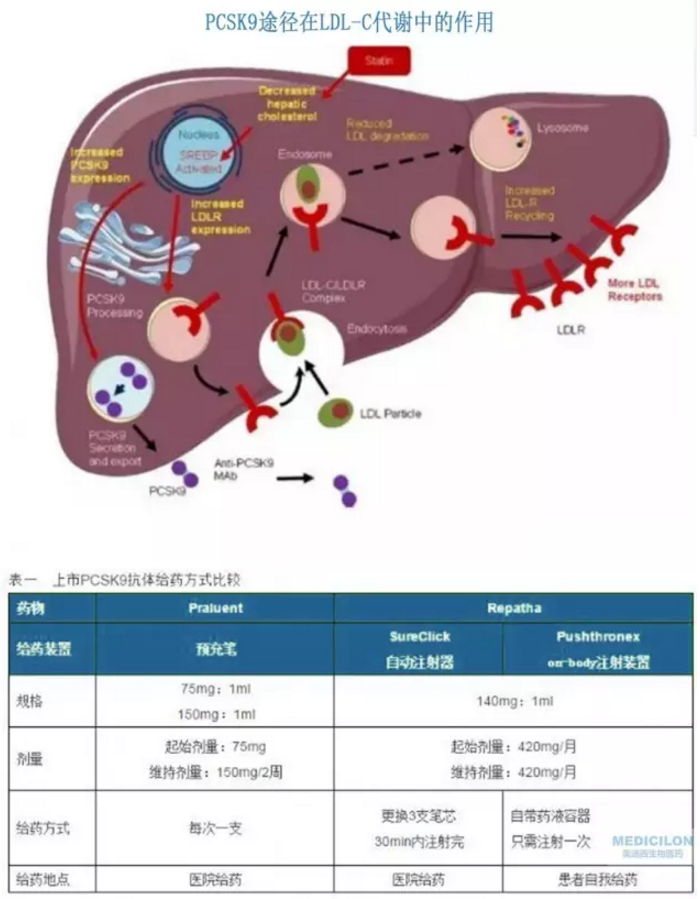 yl23455永利(集团)股份有限公司官网