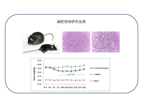 yl23455永利(集团)股份有限公司官网