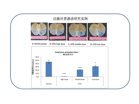 yl23455永利(集团)股份有限公司官网