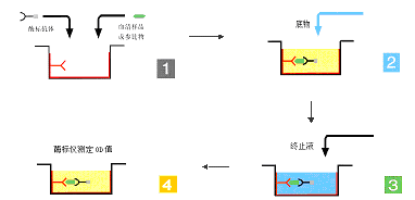 yl23455永利(集团)股份有限公司官网